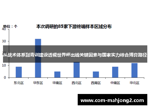 从战术体系到青训建设透视世界杯出线关键因素与国家实力综合博弈路径